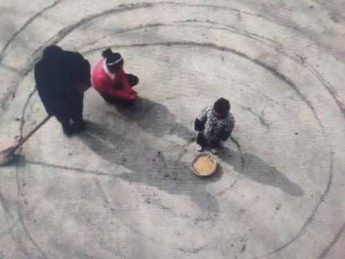 擺閘,三輥閘,速通閘,旋轉(zhuǎn)閘,平移閘,一字閘,人臉識別，